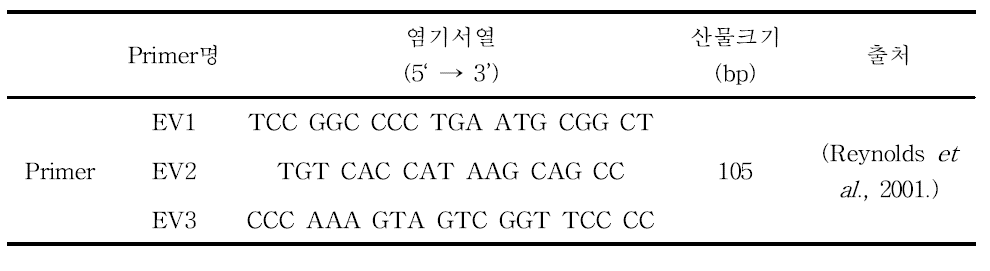 엔테로바이러스 유전자 분석을 위한 primer의 구성