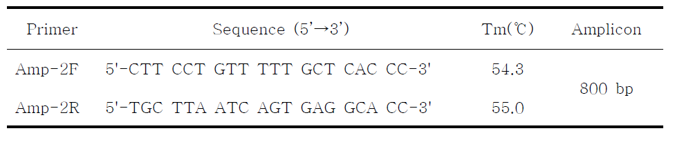 β-lactamase 유전자 분석용 primers
