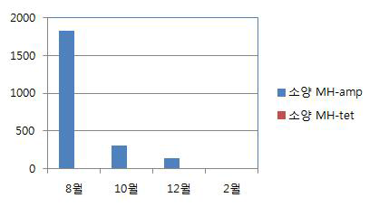 소양호 지역의 ampicillin 및 tetracycline 저항성 세균의 분포