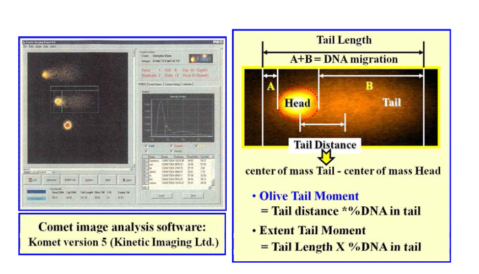 Comet image analysis software