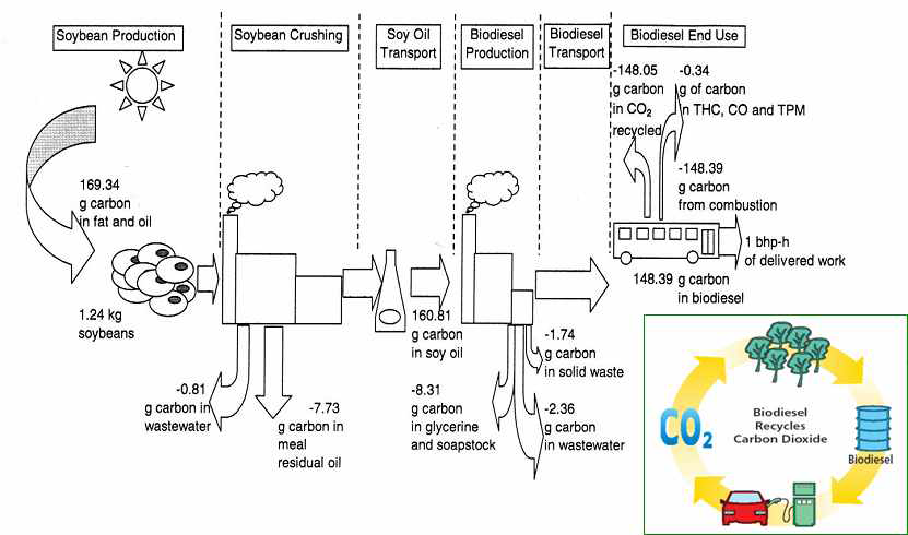 CO2 life-cycle of soybean biodiesel