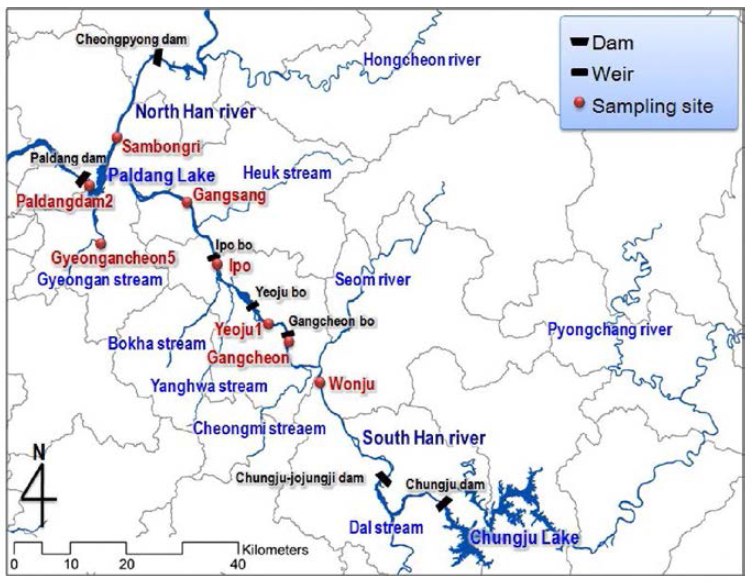 Sampling sites of Paldang lake and South Han river.