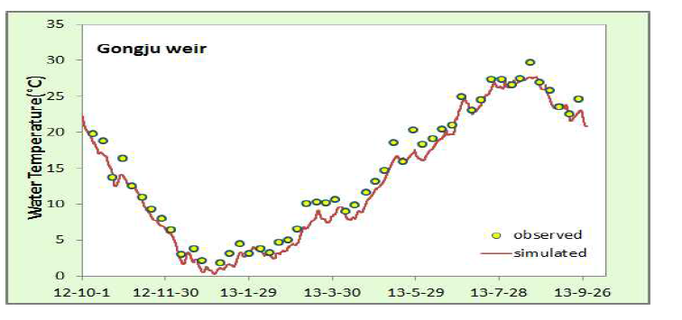 Model simulation results of the water temperature.