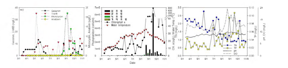 Algae and water quality variation at Jangkye station