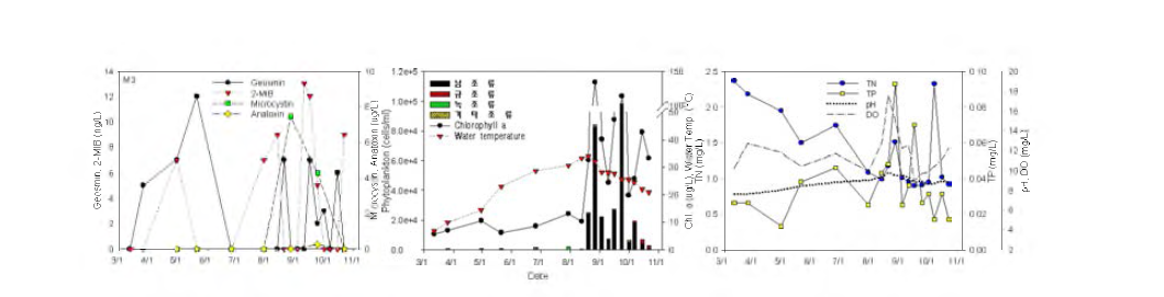 Algae and water quality variation at Seokho station