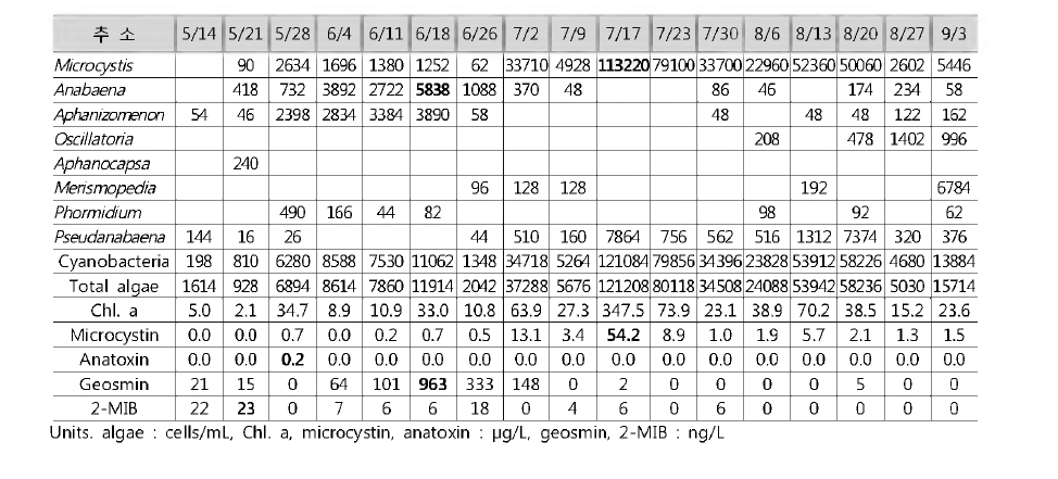 Cyanobacteria, toxins and odor compounds at Chooso station