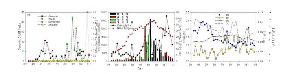 Algae and water quality variation at Hoenam station