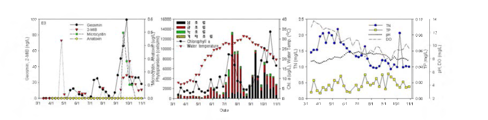 Algae and water quality variation at Choodong station