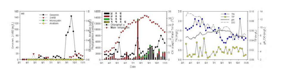 Algae and water quality variation at Damap station