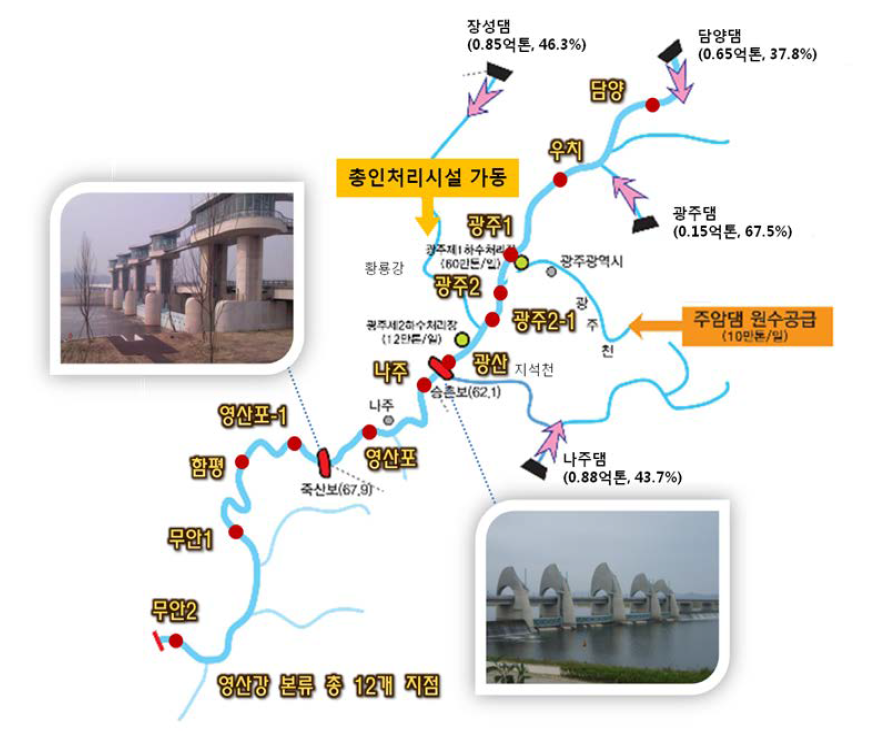 The location of study sites in the Yeongsan river watershed.