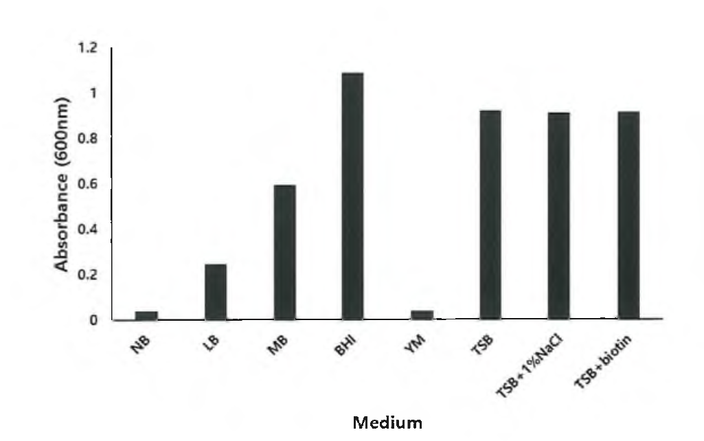 YA-191 균주의 다양한 배 양배지별 성장도.