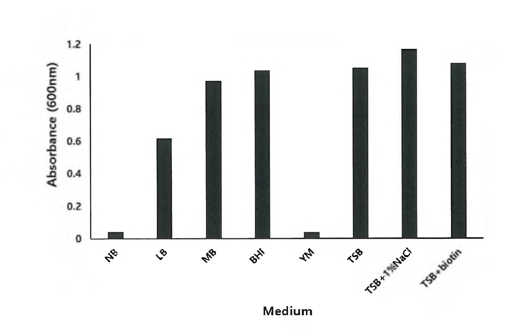 YAC-099균주의 다양한 배양배지별 성장도.