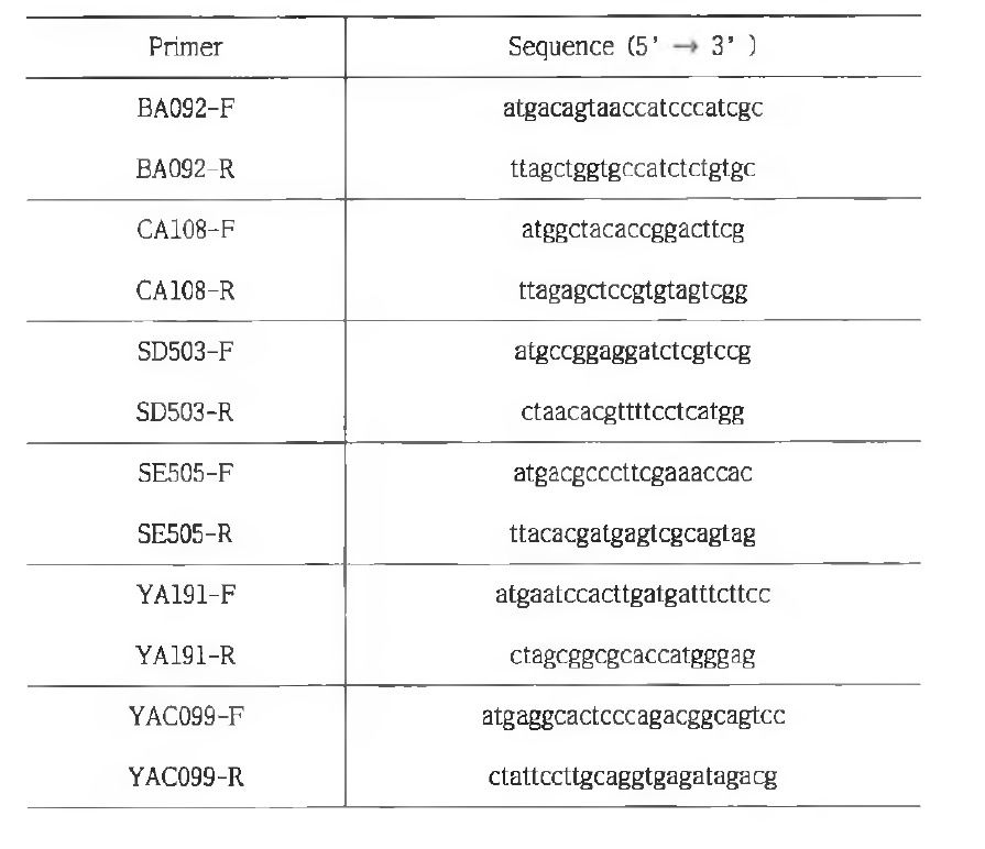 바이오마커 분석에 사용된 프라이머 서열 (Sequence)