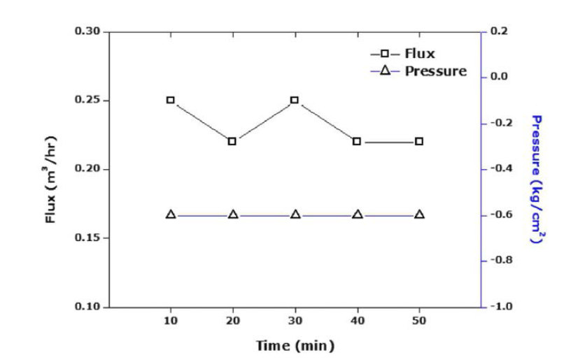 Pore Size 0.4㎛ - 처리유량과 압력의 변화