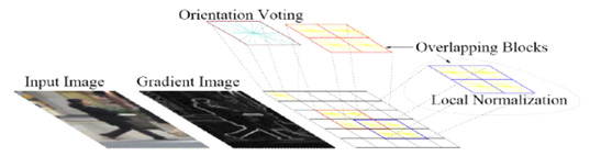 HoG(Histogram of Oriented Gradient) Feature 생성 과정