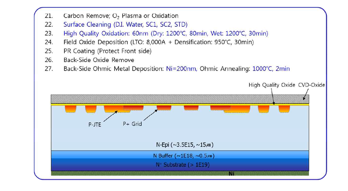 Surface Oxidation 및 Backside Metal/Ohmic 공정