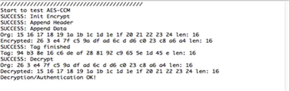 AES-CCM 암호화 복호화 검증 시험 결과