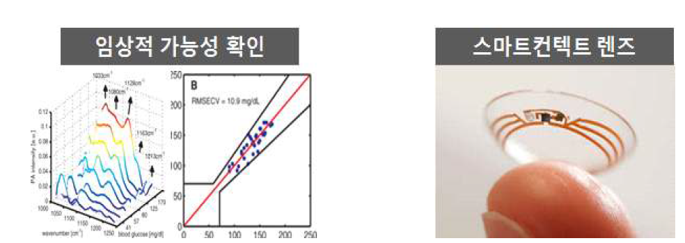 혈당 상용화 수준