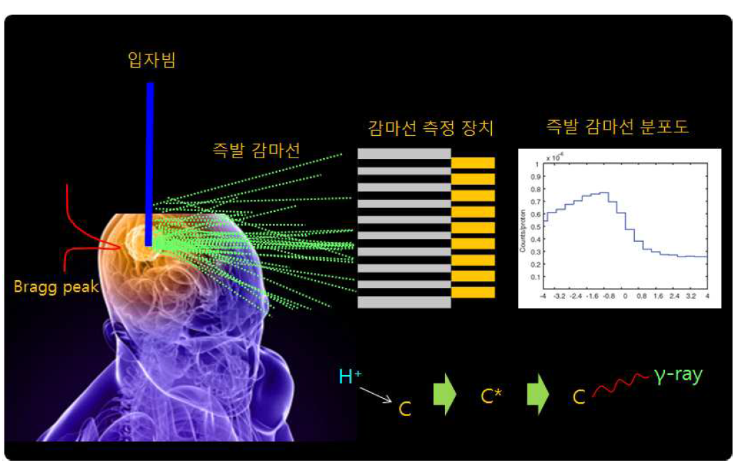 즉발 감마선 발생 및 측정 원리