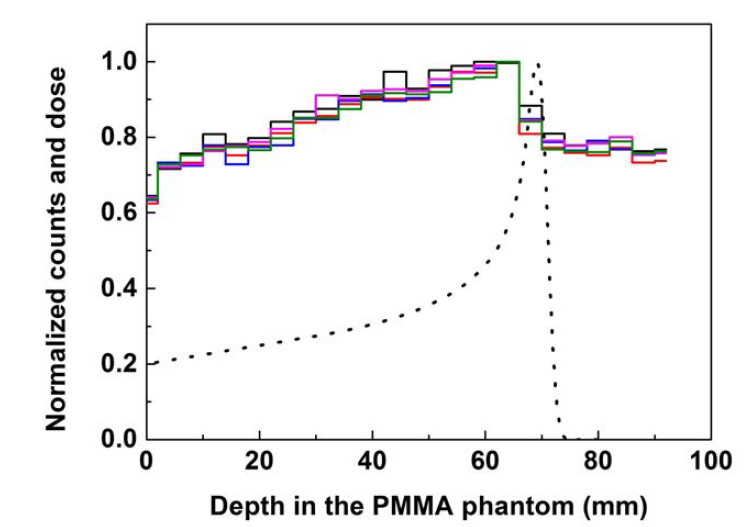 95.09 MeV 양성자 빔의 선량분포(점선)와 원리 검증용 측정장치로 측정한 즉발감마선 분포(실선)