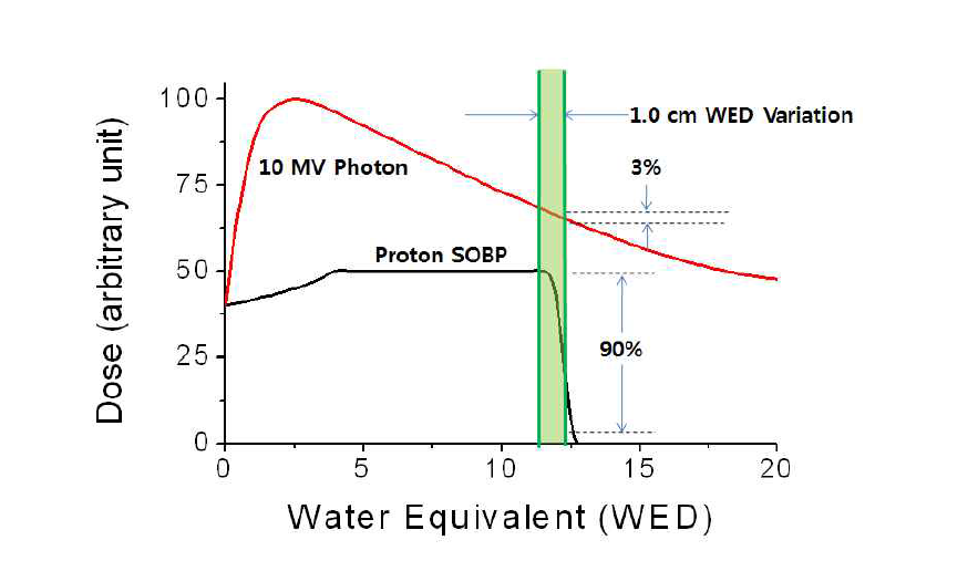 치료 깊이 오차에 따른 양성자 선량 변화