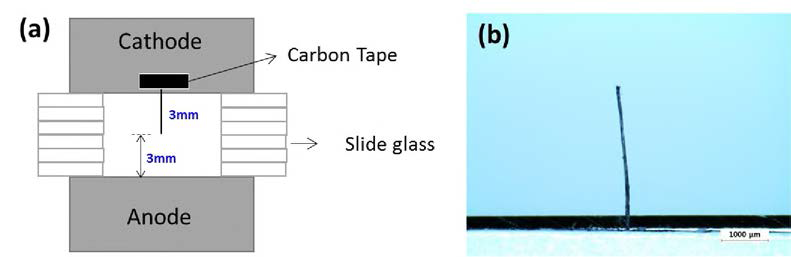 (a)CNT-Yarn의 전계방출 특성을 측정하기 위한 이극관 구조, (b) CNT-Yarn 에미터의 광학현미경 이미지