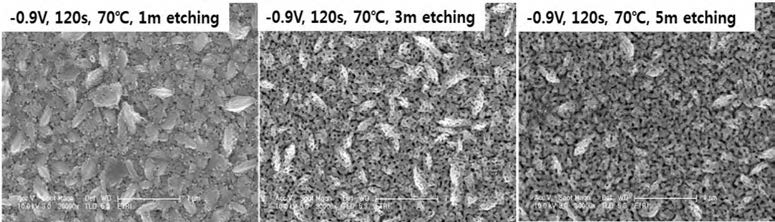 70°C에서 식각한 이종합금 나노구조체의 전자 현미경 사진