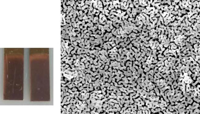 70°C의 질산 용액에서 7분간 식각 후 형성 된 다공성 금 나노 구조체가 형성된 기판 사진과 표면의 전자 현미경 사진