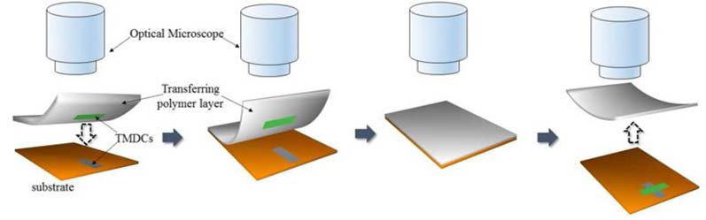 그래핀/hBN/그래핀 tunneling 소자 제작에 사용되는 일반적인 2D crystal transfer method의 개략도