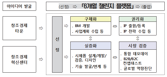 6개월 챌린지 플랫폼의 운영과정