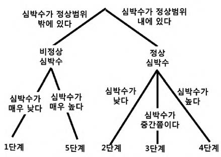 심박수에 대한 RFC 모델