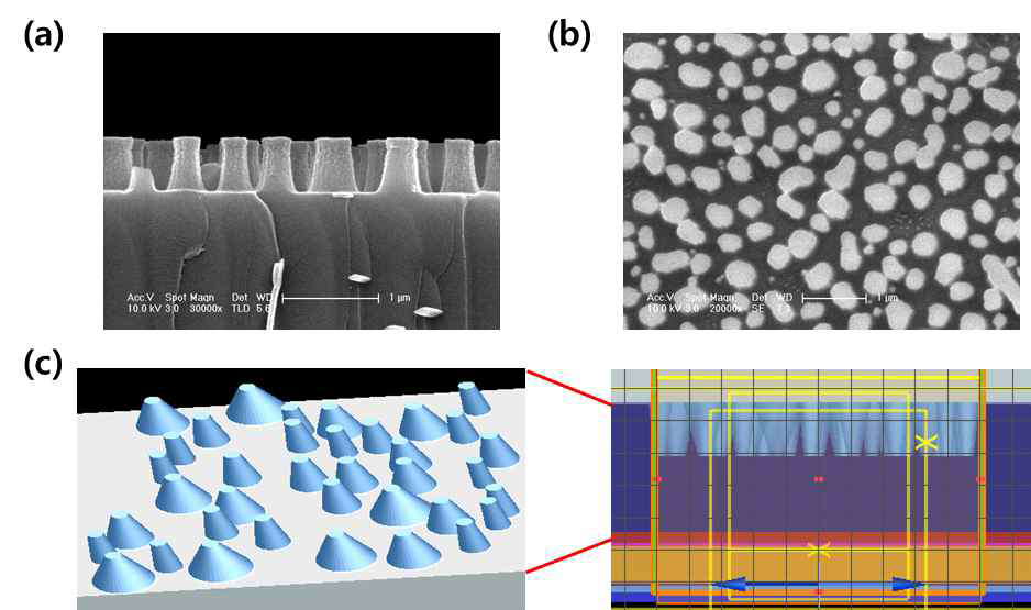 (a)나노 구조체의 단면 SEM 이미지, (b)나노 구조체의 정면 SEM 이미지, (c)시뮬레이션에 구현한 나노구조체 이미지