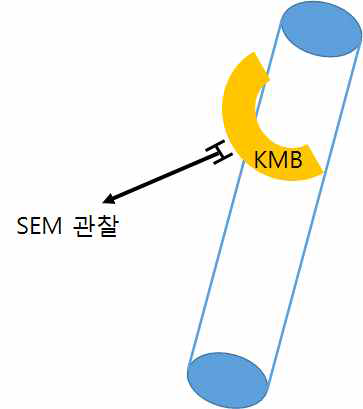 구부림 및 SEM 관찰 부위에 대한 도시