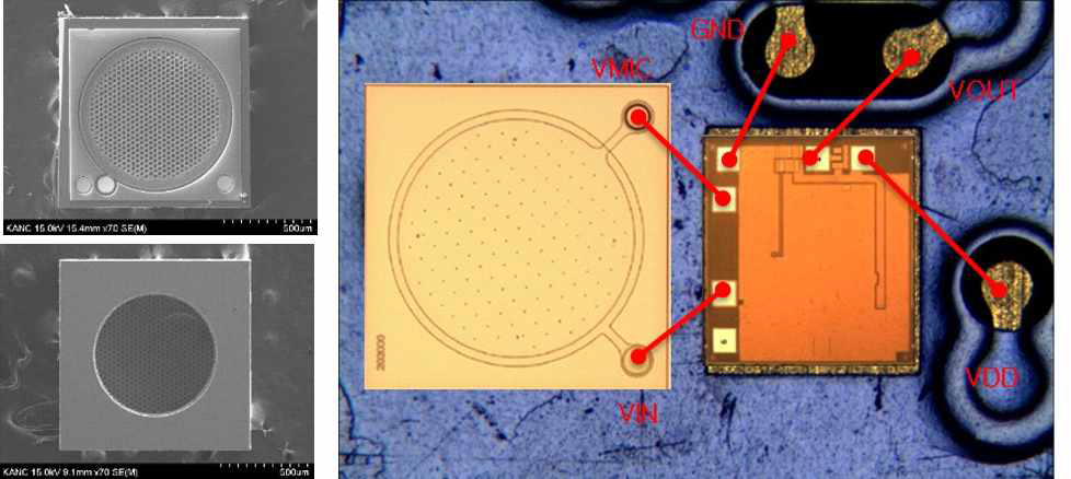 단일 멤브레인 MEMS 음향센서 칩(Ver.1) 사진(앞면 左上, 후면 左下)및 이를 이용하여 제작한 MEMS 마이크로폰 모듈 사진(右)