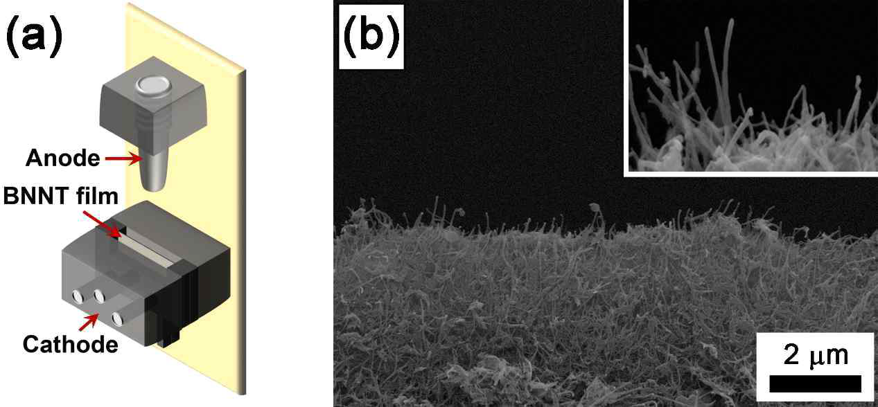 (a) BNNT 전자원의 구조 및 (b) BNNT 전자원 tip 부분의 SEM 사진