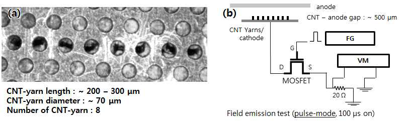 (a) CNT-yarn 어레이 전자원 (b) 전계방출 테스트 모식도