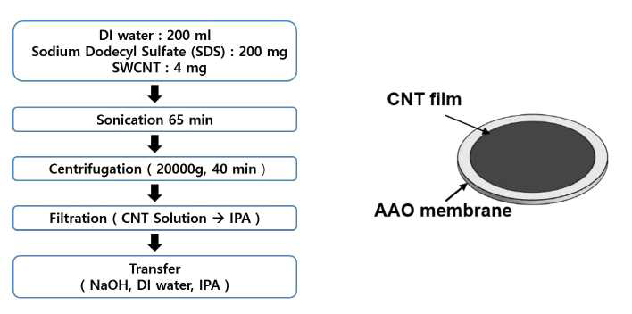 CNT 박막 제작 과정과 AAO membrane 위에 형성된 CNT 박막의 모식도