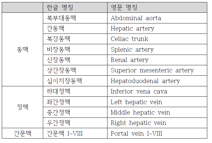 간 모델에 대한 해부학적 명칭