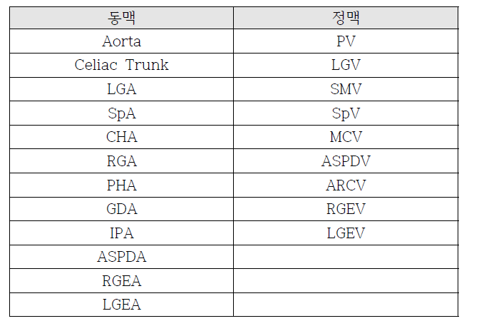 혈관 세그먼트 목록