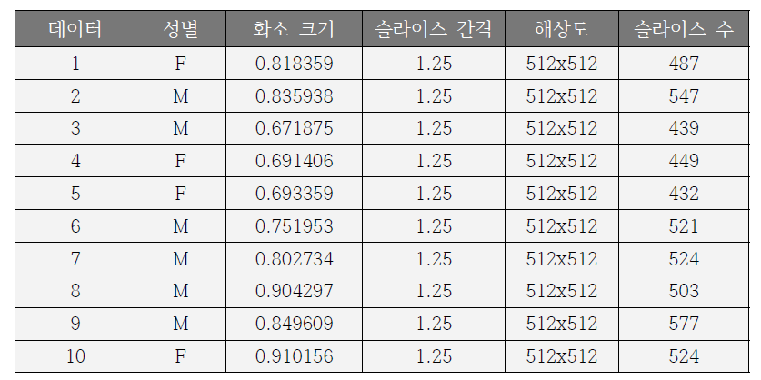 복부 피부 분할을 위한 CT 영상 데이터