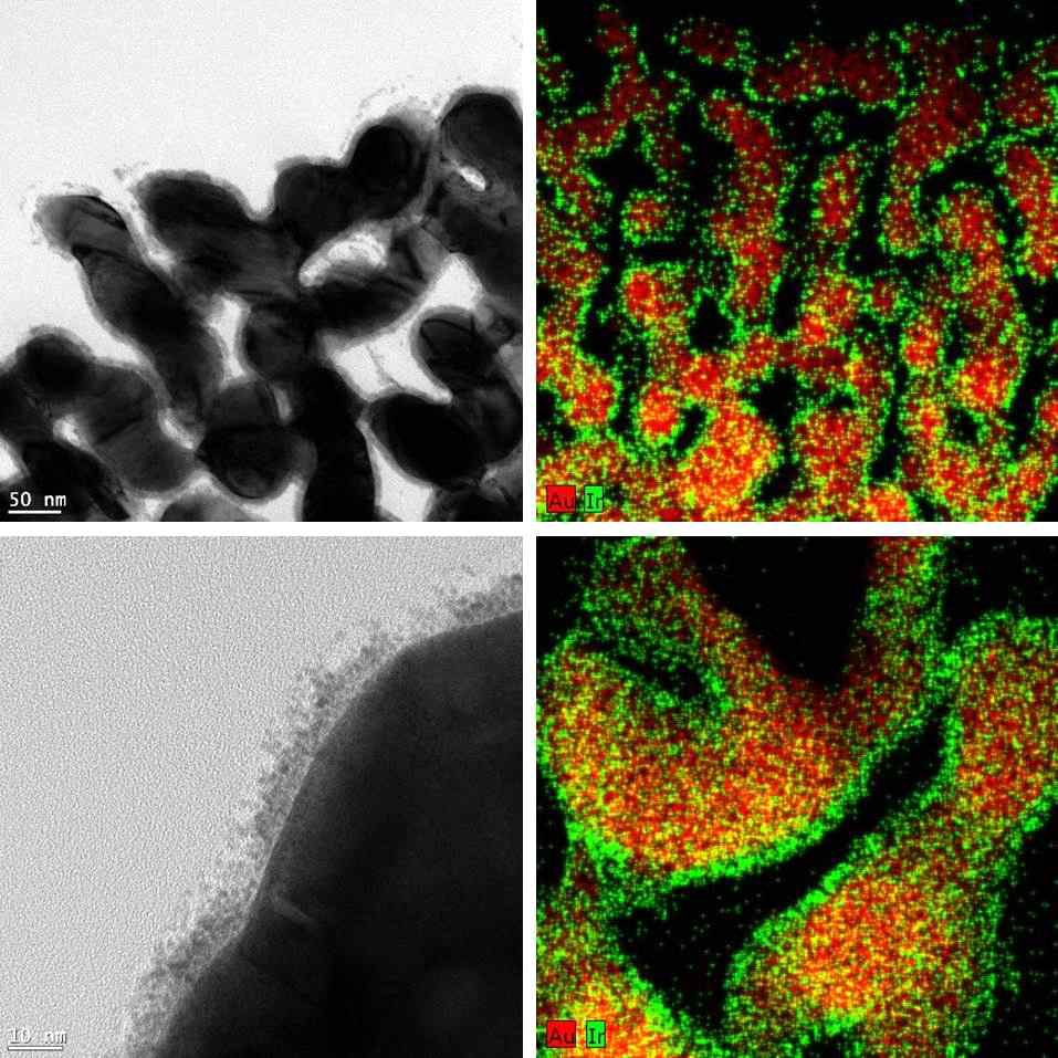 이리듐산화물-다공성 금 나노 구조체의 주사 전자 현미경 사진
