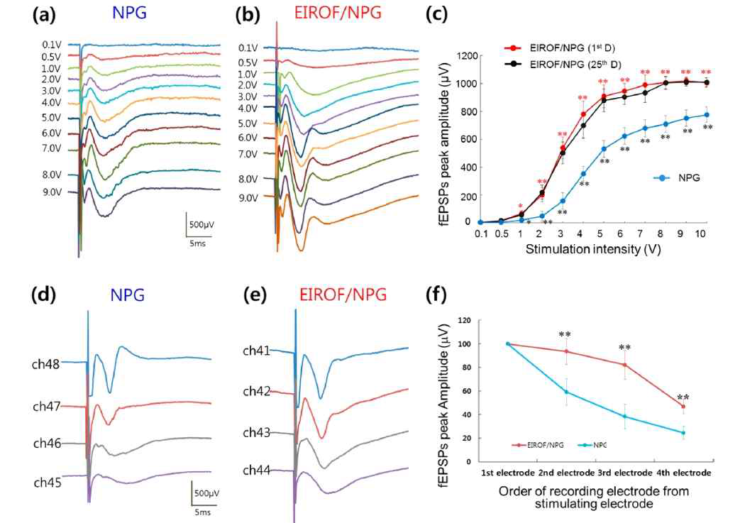 fEPSPs의 I/O 와 (a,b) NPG 전극과 EIROF/NPG 전극에서 기록한 자극 전압에 따른 fEPSPs의 변화. (c) NPG 전극과 EIROF/NPG 전극에서 측정된 신호 세기의 도식. (d,e) 각 4개의 전극에서 기록된 fEPSPs의 변화. (f) NPG 전극과 EIROF/NPG 전극에서 fEPSPs 신호세기의 감소량 차이