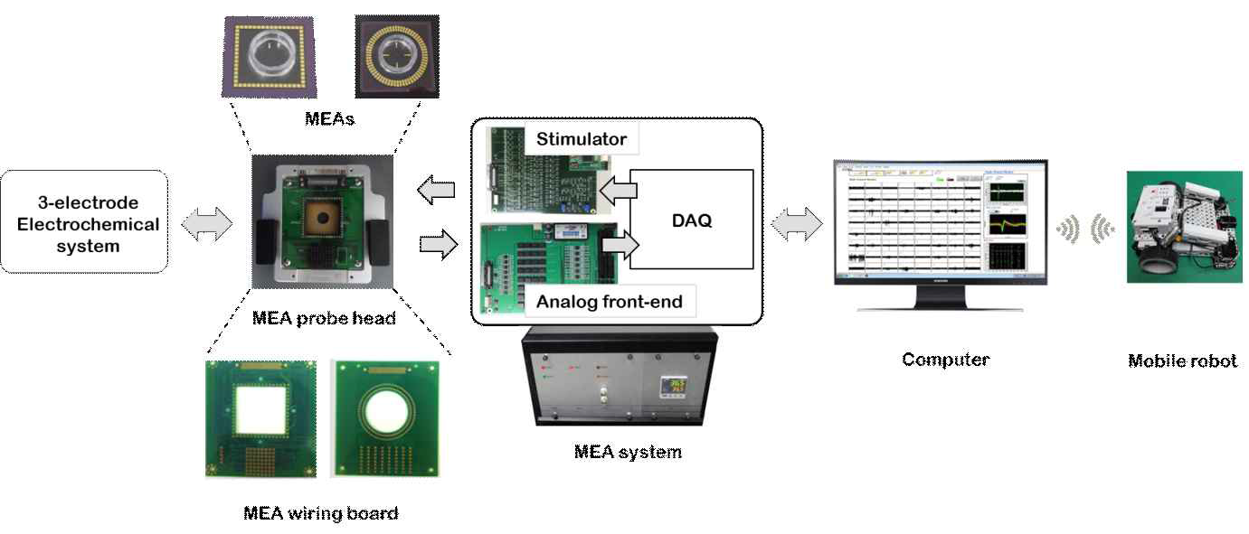 MEA 시스템의 구성