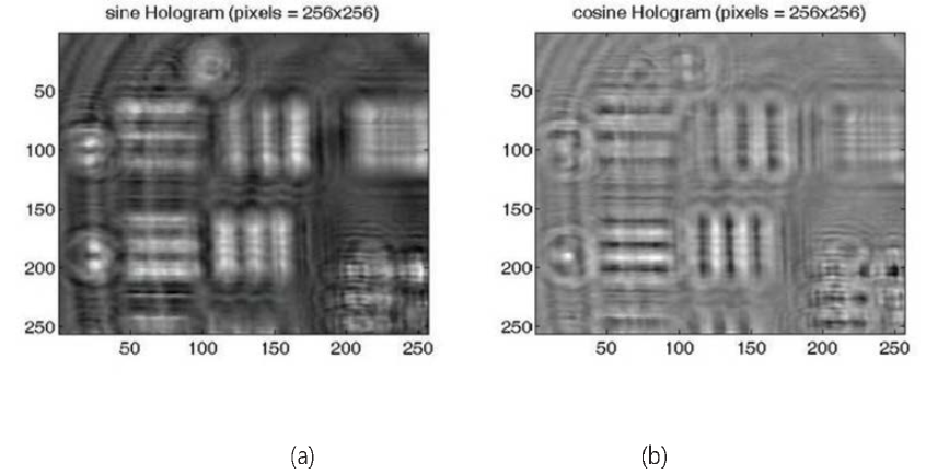 (a) Cosine 홀로그램 (b) Sine 홀로그램