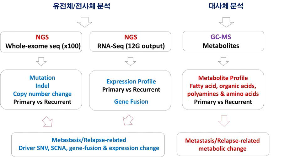 Overview of analysis of genome and metabolome