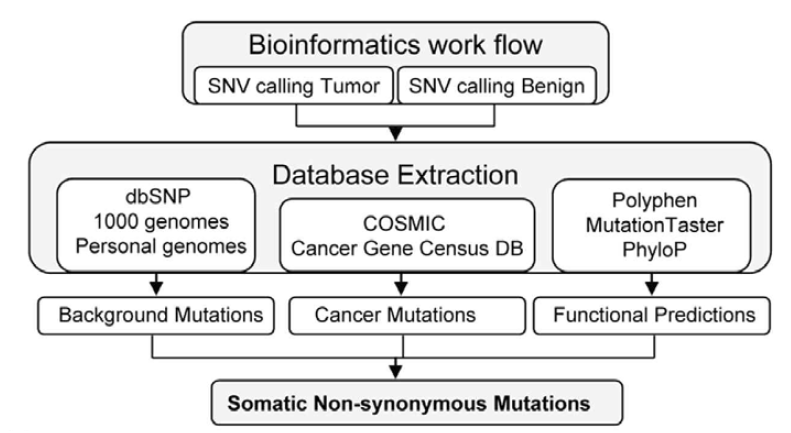 Identification process of somatic relevant SNVs