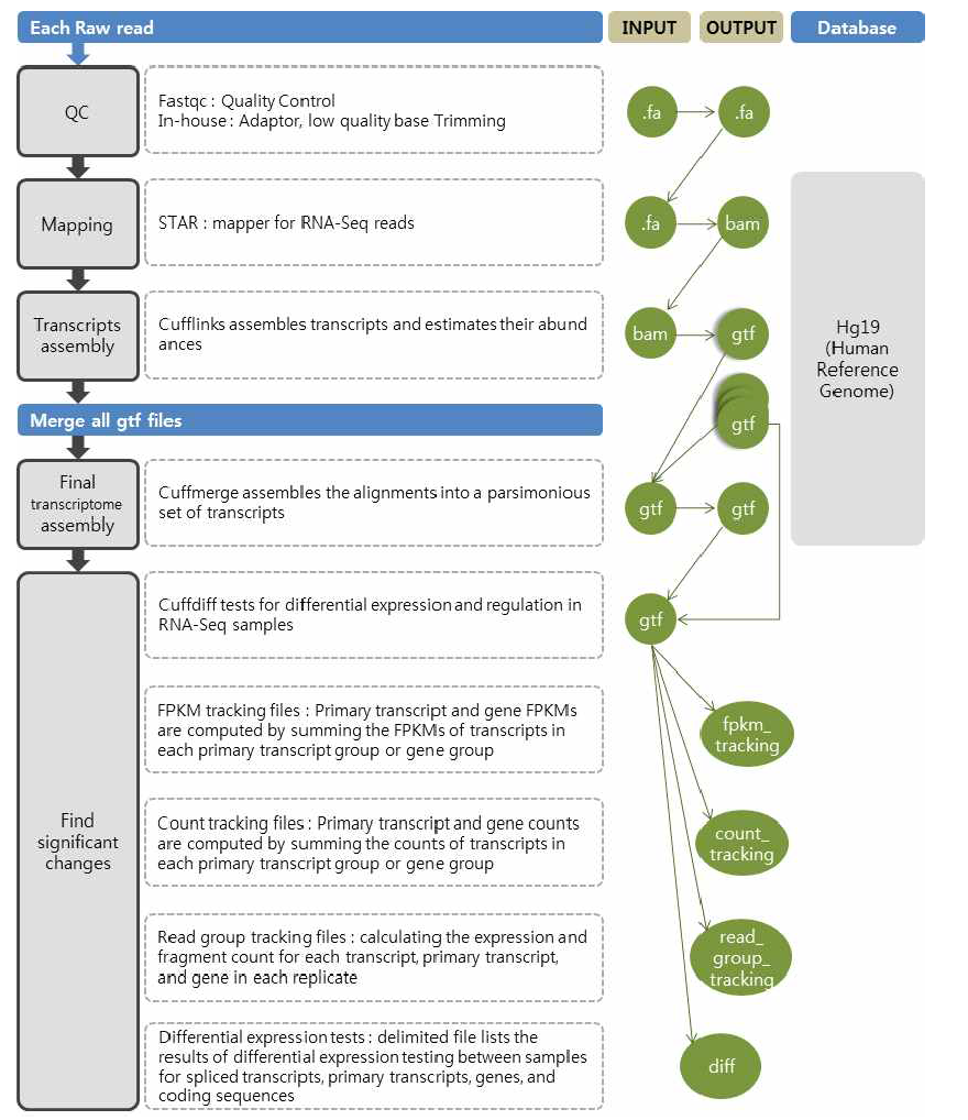 Workflow of RNA-seq analysis