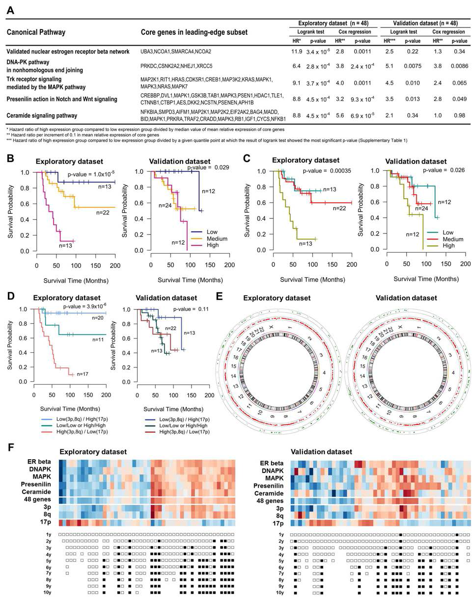 Exploration and validation of prognostic power of core genes identified in Group 4.