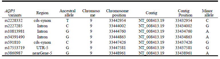 선택된 7 개의 AQP3 유전자 다형성의 정보