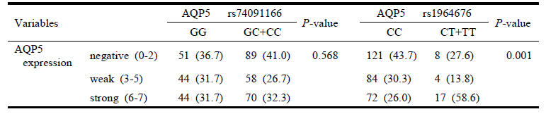 AQP5 SNP (74091166, rs1964676)의 유전자형에 따른 AQP5 발현차이 비교